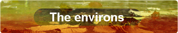 The environs