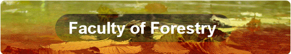 Faculty of Forestry