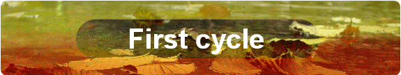 First cycle