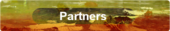 Partners