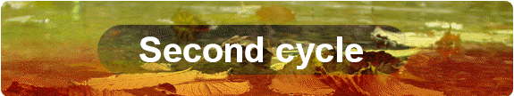 Second cycle