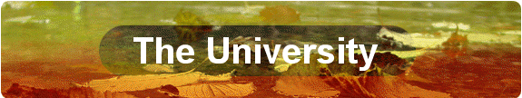 The University